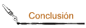 Conclusi�n