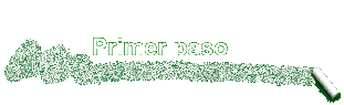Primer paso