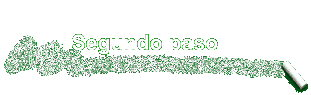 Segundo paso