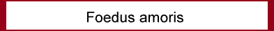 Foedus amoris